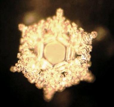 Emoto Wasserkristall Liebe und Dankbarkeit – das schönste Kristall der Wasserforschung